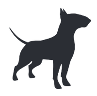 Bull Terrier